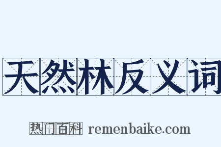 天然林反义词是什么意思的图片